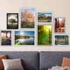 8frames forrest closeup